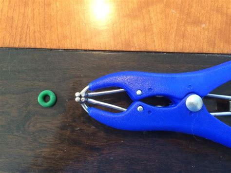 Wife tube movies, whore, lover, husband, cheating, married :: I Sent My Husband for Castration Tools.....