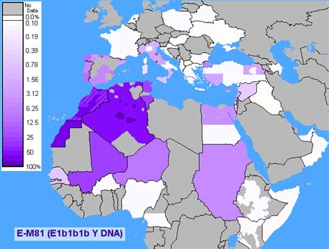 Maybe you would like to learn more about one of these? LA CAUSE DU PEUPLE : Génétiquement, les Maghrébins ne sont ...