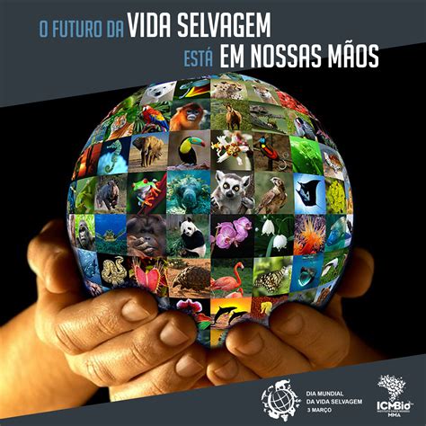 Um dos objetivos do dia mundial da vida selvagem é alertar sobre o perigo do tráfico de espécies selvagens animais, que, além de ser uma atividade criminosa, coloca em risco muitas espécies. Instituto Chico Mendes de Conservação da Biodiversidade ...