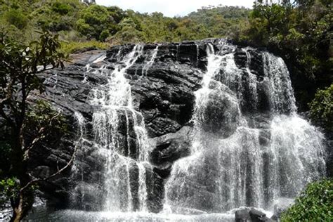 Our services never go down. Sri Lanka's Tropical Flora - Naturetrek