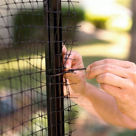 Maybe you would like to learn more about one of these? Here's How to Keep Deer From Completely Destroying Your ...