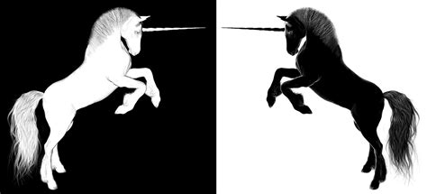 Jual suki jaket unicorn rainbow blue kota tangerang pocca jaket unicorn supercute shopee indonesia Gambar Kuda Unicorn Hitam Putih