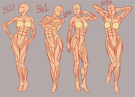 Here is a woman body or female figure anatomy proportion sheet. References, they do a body good: Female part 1 by Spork ...