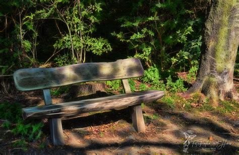 Community bank was founded on the principle of 'neighbor helping neighbor'. Bank Foto & Bild | landschaft, jahreszeiten, sommer Bilder ...