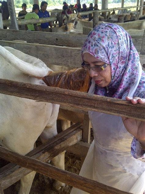 Waktu doa hari ini di kota bharu akan bermula pada 05:29 (matahari terbit) dan selesai di 20:30 (isyak). Ladang Ternak Lembu