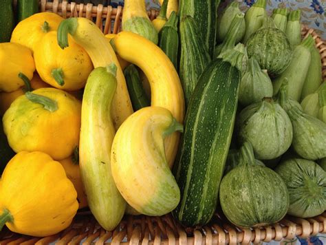 Fill your zucchini boats with meat sauce and top generously with shredded mozzarella cheese. 5 New Things To Do With Zucchini - Seacoast Eat Local