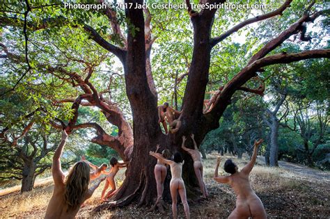 Only dedicated companies can operate; Mama Madrone | TreeSpirit Project