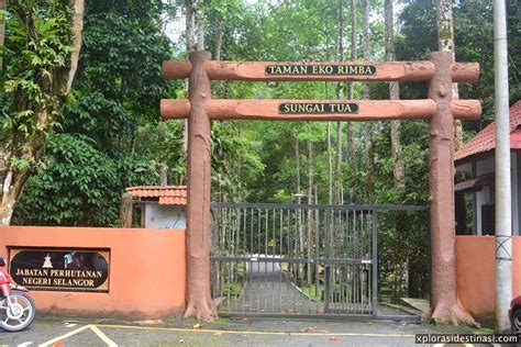 The taman eko rimba kanching waterfall travels down seven distinct tiers, all with specific distances up the hill. taman-eko-rimba-sungai-tua - Xplorasi Destinasi