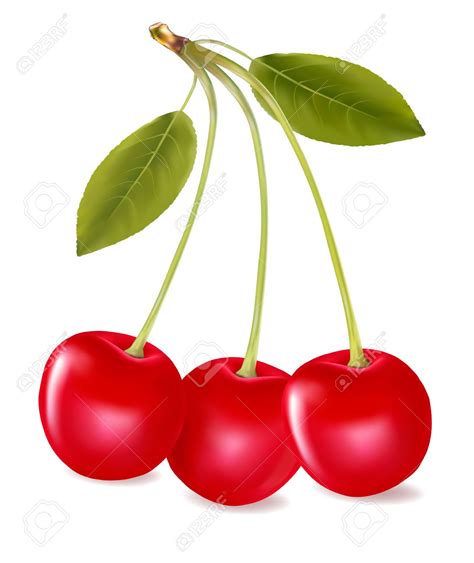 Cherry stock photos and images. Cherry clipart three, Cherry three Transparent FREE for ...