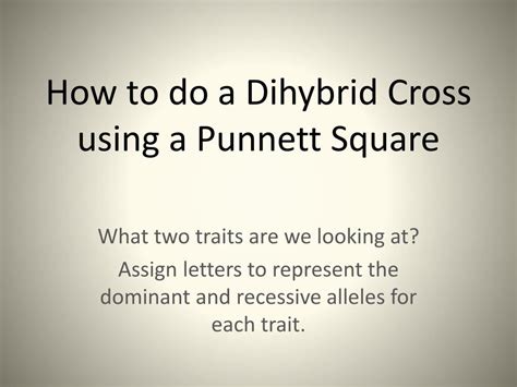 When crossing an organism that is homozygous recessive for a single trait with a heterozygote, what is the. PPT - How to do a Dihybrid Cross using a Punnett Square PowerPoint Presentation - ID:2513901