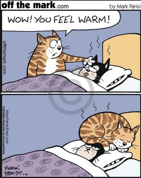 Life is full of problems, and you have to face a lot of hardships. Happy Caturday: 29 Cute & Funny Comics For All You Feline ...