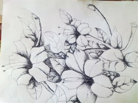 1001 keindahan sketsa gambar bunga terlengkap dan cara membuatny. 39+ Gambar Sketsa Bunga Indah, Sakura, Mawar, Melati ...