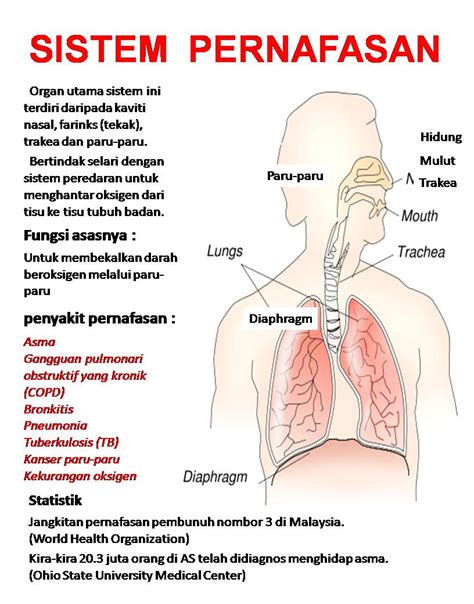 Documents similar to makalah sistem saraf pada manusia terbaru lengkap. Makalah Biologi : Sistem Pernafasan pada Manusia | Waktu ...