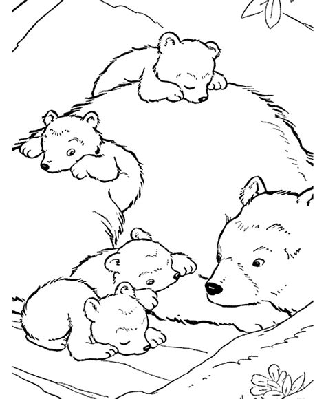 Cartoon polar bear coloring pages. Cartoon Animal Coloring Pages Bear - Coloring Pages For ...