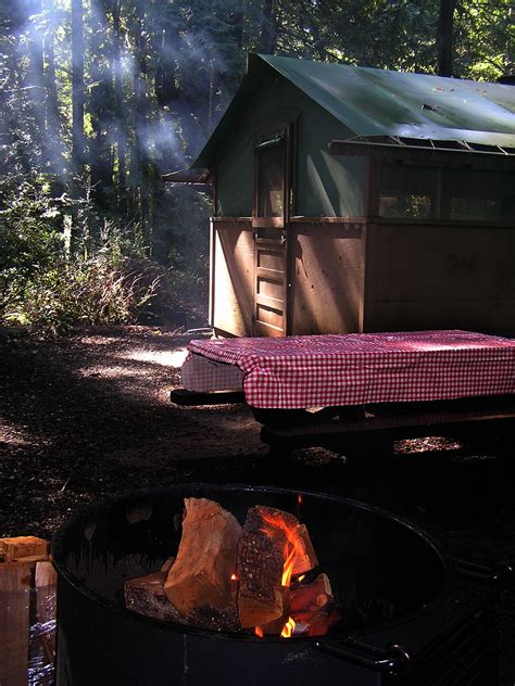 Our tent cabins feature convenience and comfort in a beautiful outdoor setting. Deals and Offers | Big basin, State parks, Basin