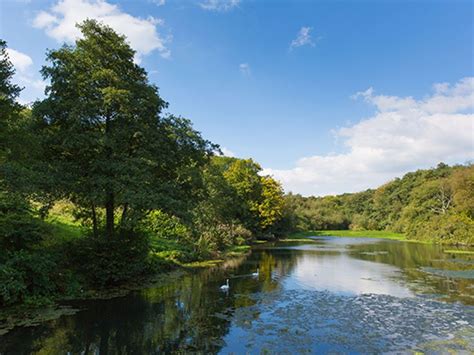 Looking for dog friendly cottages in wales? The Log Cabin - Hollies Trout Farm