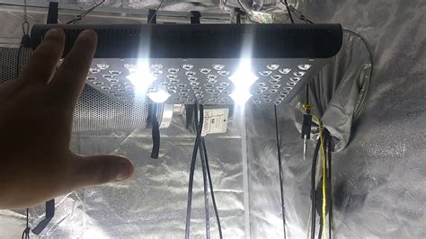 Leds can deliver more usable light per watt than traditional grow lighting. AGLEX 2000 watt cob LED grow light - YouTube