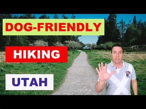 For your request dog bakery near me we found several interesting places. Dog friendly hikes near me | Living in Utah now - YouTube