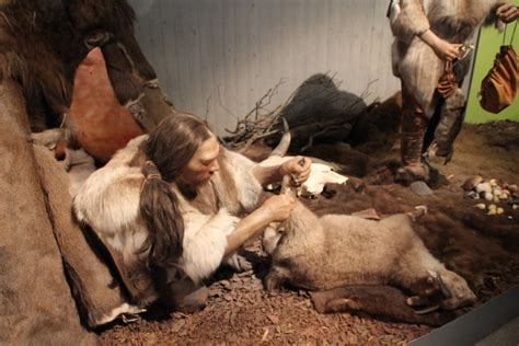 Der neandertaler ist ein ausgestorbener verwandter des heutigen menschen. Ein Nachmittag im Neandertal - Eine Zeitreise mit ...