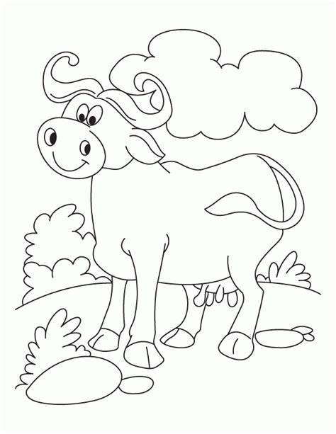 Check spelling or type a new query. Water Buffalo Coloring Page - Coloring Home