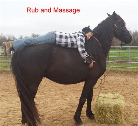 First time sexual rub down. Training Exercises: Jeffrey's Method of First Mounting ...