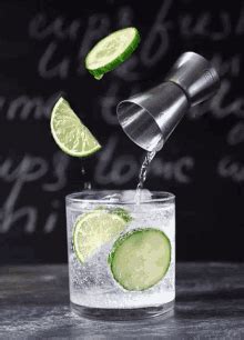 I don't make gifs anymore but still take requests. Gin GIFs | Tenor