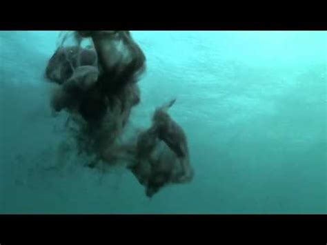 Newest best videos by rating. Crazy Mimic Octopus spurts ink to camera! - YouTube