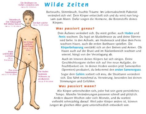 Wann die pubertät aufhört, bemerkst du daran, dass sich die lebenssituation deutlich entspannt. Wann setzt bei Jungs durchschnittlich der Stimmbruch bei ...