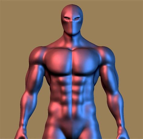 Many animals can use their forelimbs (which are homologous to arms in humans) to carry and manipulate objects, while some can use them to achieve flight. 3D model Human Body | CGTrader