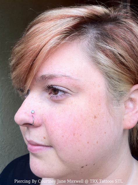 Either of the nares with the adjoining passage on the same side of the septum. 30+ High Nostril Piercing Pictures