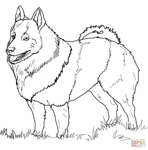 Husky coloring page drawn husky coloring page 1 x cute husky. Husky Coloring Pages at GetColorings.com | Free printable ...