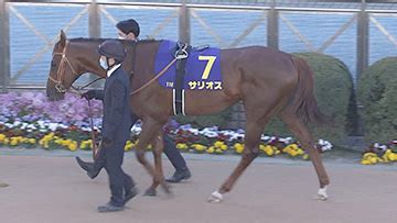 芸能人 競馬予想 ウイニング競馬予想 東スポ 虎石予想 スポニチ 万哲予想 競馬展望プラス 予想 海外競馬 交流g1 予想成績 未分類. 【2020 日本ダービー】サリオスを応援～2着・POGドラフト会議2020 ...