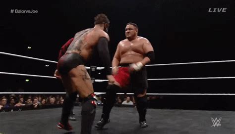 Check out all the awesome samoa joe gifs on wifflegif. Global Wrestling Gifs: Samoa Joe (NXT)