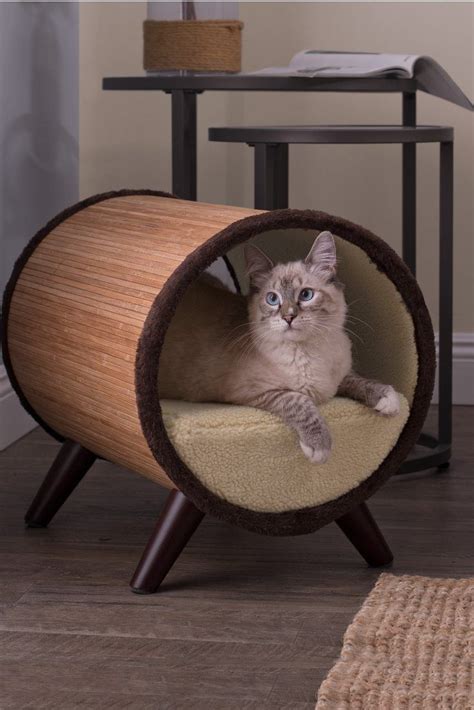 How to get your cat used is it ok for a cat to sleep in your bed? The Top 5 Places to Put Cat Beds - Overstock.com in 2020 ...