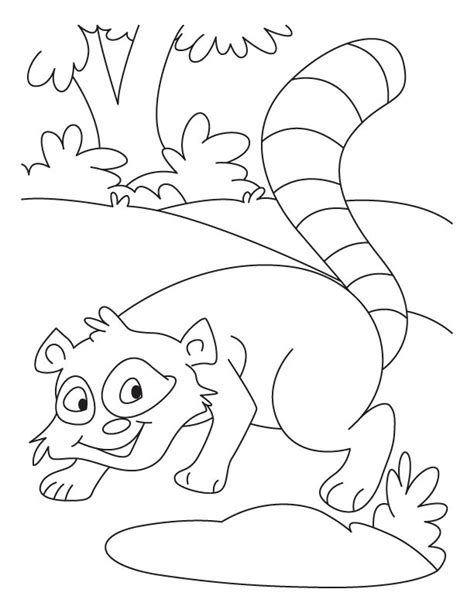 If you or someone you know is learning their colors this is a each page is told in rhyme showing the colors they find. whistling raccoon coloring pages | Download Free whistling ...