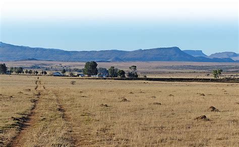 Cyril ramaphosa latest breaking news, pictures, photos and video news. Land reform tops agri industry's expectations for SONA 2019