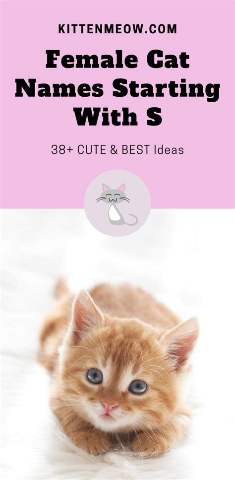 Find chr names for girls at babynamewizard.com | baby name wizard Female Cat Names Starting With S with Video - KittenMeow