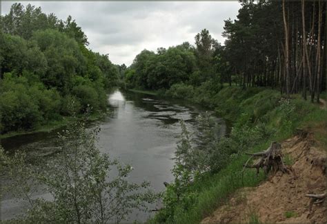 «ворскла» перемагає «львів», +1 до снайперського активу кулача. Фото пейзаж, река, ворскла