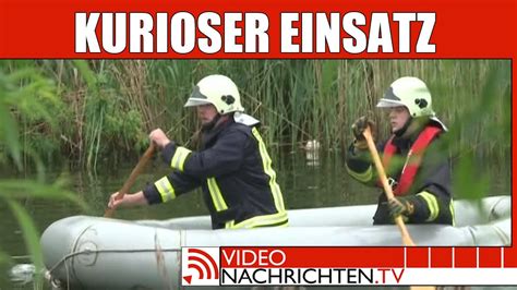 Izito.de has been visited by 10k+ users in the past month Schwan veräppelt Feuerwehr - Nachrichten aktuell - YouTube