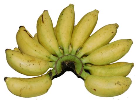Rasa pisang goreng pasti tambah lezat kalau kita menggunakan jenis pisang yang benar. Pisang Ulin Enak Di Goreng - 192 Resep Pisang Emas Goreng ...