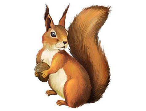 Jika anda ingin belajar cara menggambar tupai kecil yang lucu, baik dengan gaya kartun atau realistis, ikuti panduan ini. Tupai clipart 2 » Clipart Station