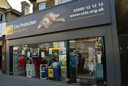 We did not find results for: Meow! Blog | Cats Protection: The difference gifts in ...