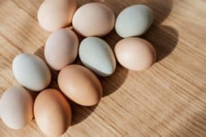 Plan on an hour's holding time, max. How Long Can Eggs Sit Out? Raw (Fresh) and Cooked (Hard ...