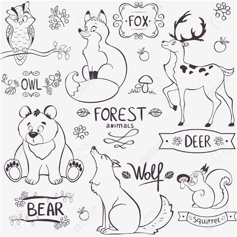Dolphins, whales, sea otters and other marine mammals capture the imagination and demand the affections of people around the world. Illustration set of cute animals of the forest with design names | Animal drawings, Animal ...