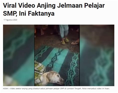 Mimpi anjing berubah menjadi manusia. SALAH Video "Viral di Lombok, anak SMP berubah wujud ...