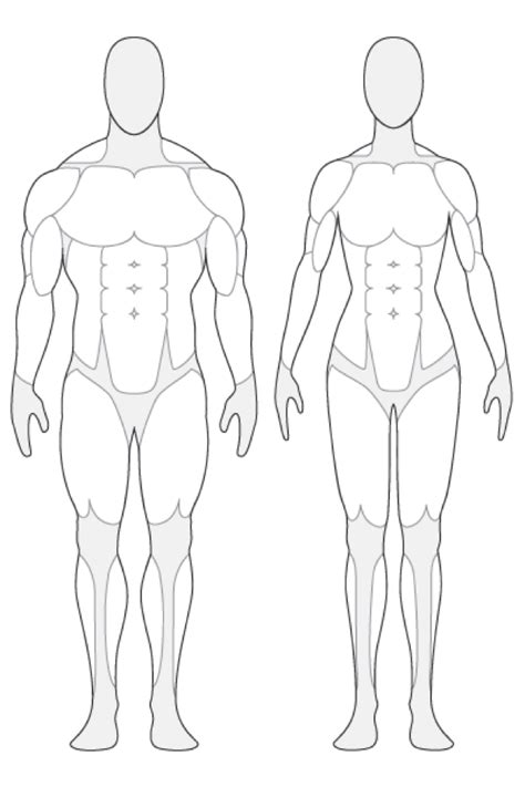 It is the most complete reference of human anatomy available on web, ipad, iphone and explore over 6700 anatomic structures and more than 670 000 translated medical labels. Human Figure Outline | Free download on ClipArtMag