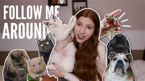 Can you have a look? FOLLOW ME AROUND! Pet Vlog - YouTube