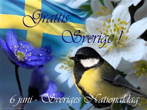 Sverige var under lång tid kanske det enda landet i världen som saknade en officiell nationaldag. sveriges nationaldag 6juni | Juni Sveriges Nationaldag ...