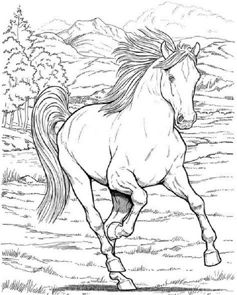 Pferde waren früher nutztiere, werden heutzutage von liebhabern und sportlern gehalten, um zu reiten. 38 Pferde Ausmalbilder Dressur - Besten Bilder von ...