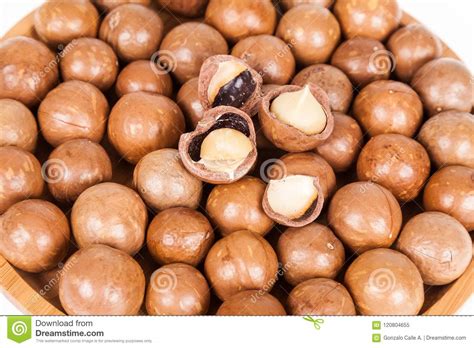 Get the best deals on baking macadamia nuts. Macadamia Nuts Or Australian Walnuts On White Background ...